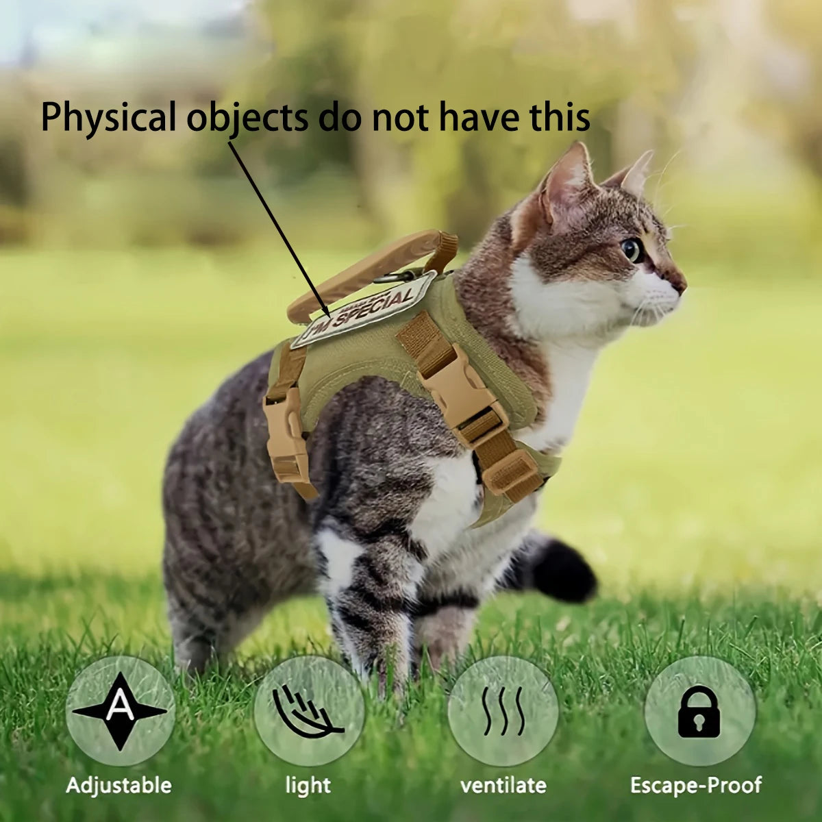 Cat wearing a harness in a grassy outdoor setting with text and icons indicating features.