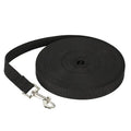 Black dog leash with a metal clip on a white background