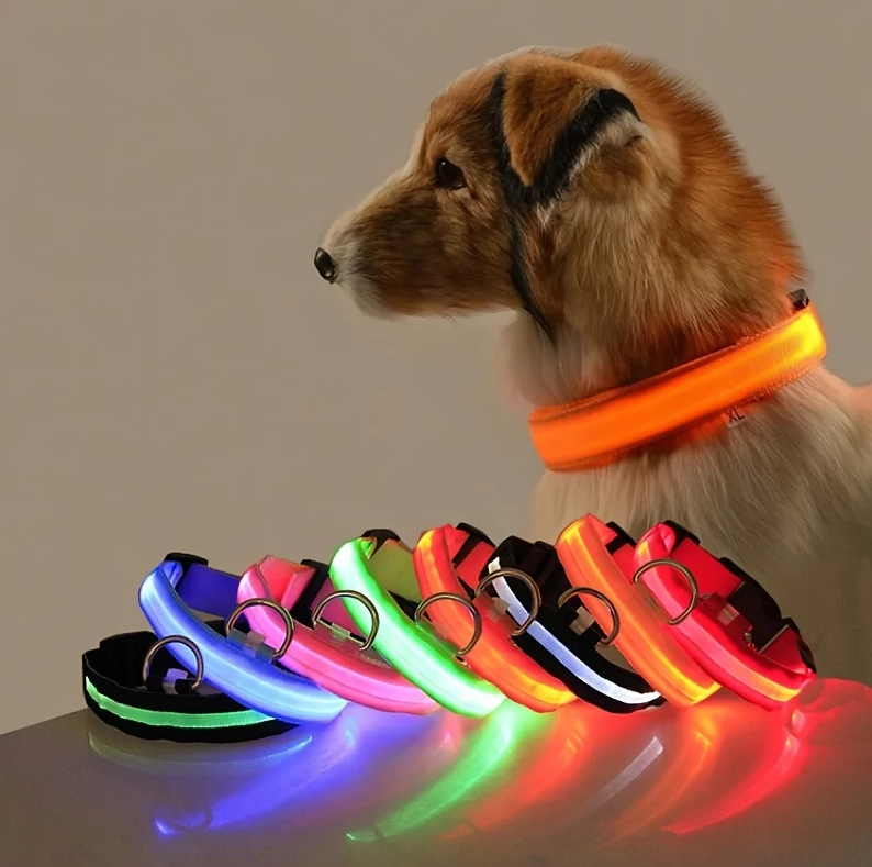 LED Safety Dog Leash & Collar | USB Rechargeable & Weatherproof