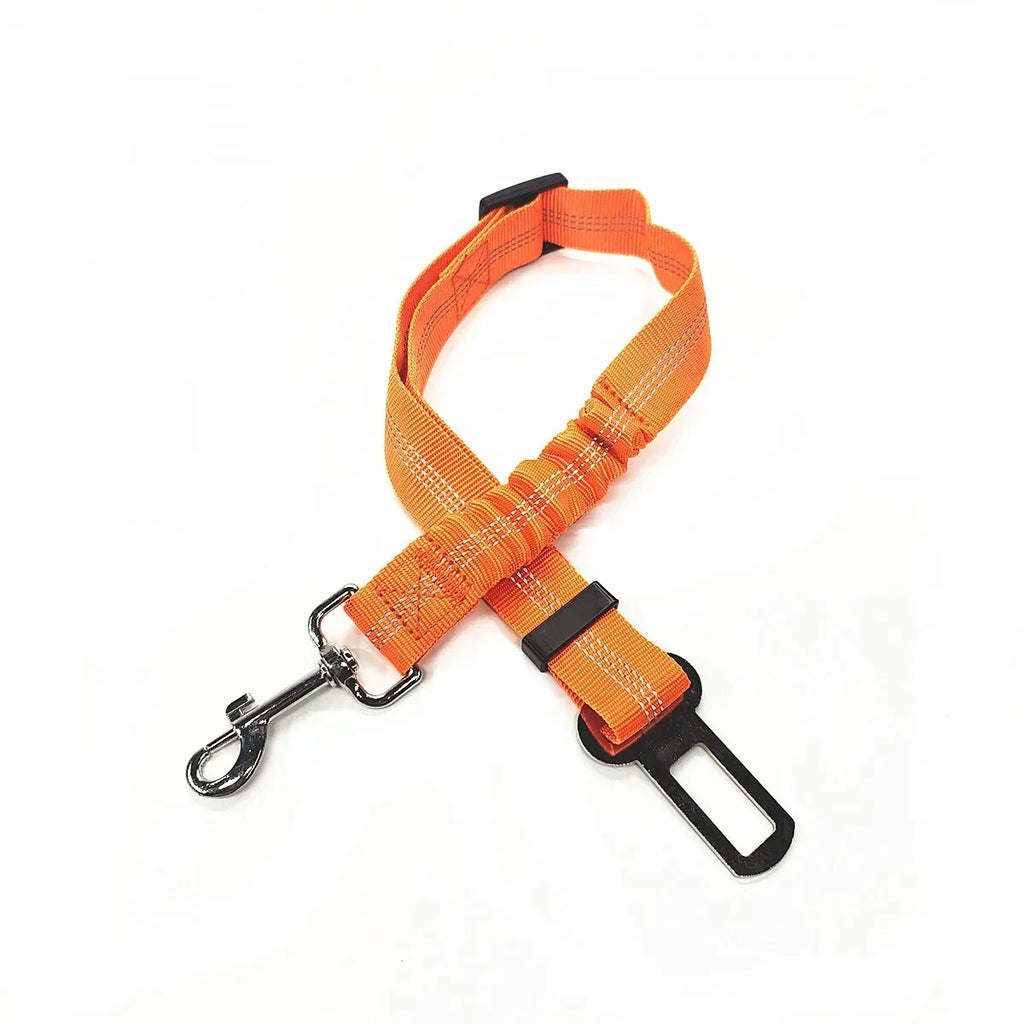Orange dog leash with clip and car seat belt adapter on a white background