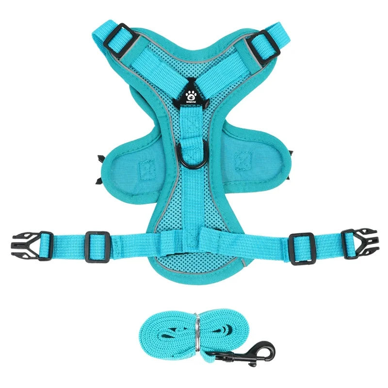 Turquoise dog harness and leash set on a white background