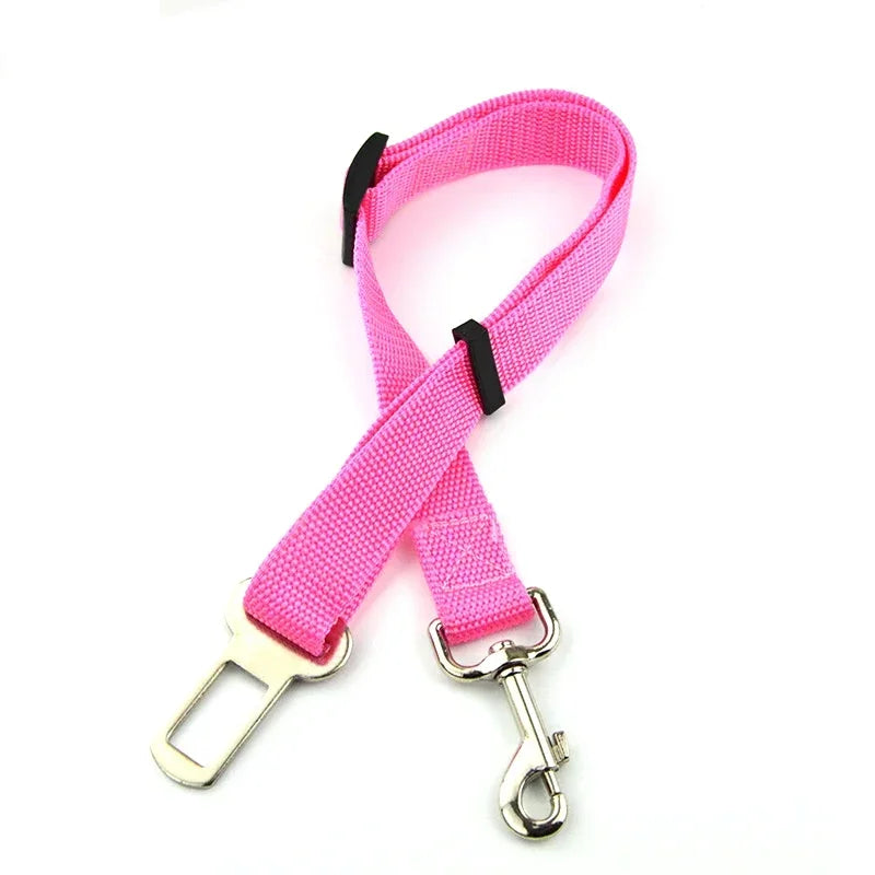 Pink dog leash with metal clip on a white background