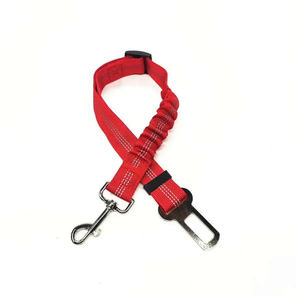 Red dog leash with a black clip on a white background