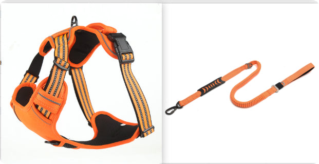 Orange dog harness and leash set on a white background