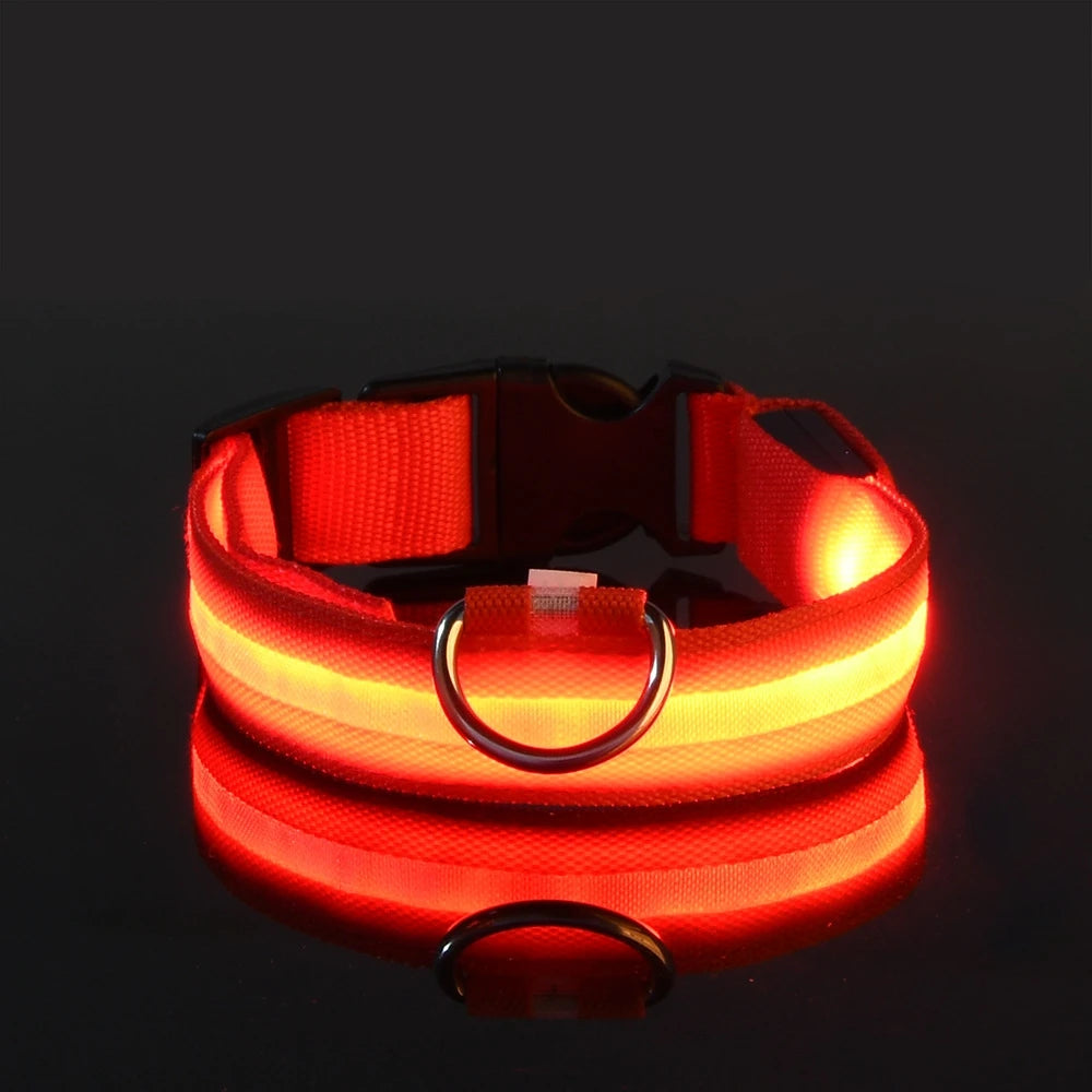LED Safety Dog Leash & Collar | USB Rechargeable & Weatherproof