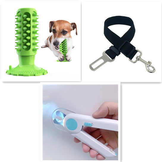 Collage of a green dog toy, a dog with a toy, a black dog leash, and a white dog grooming tool.