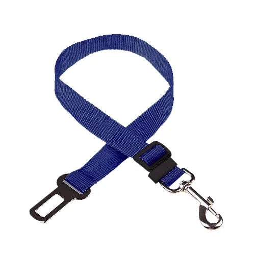 Blue dog leash with a clip on a white background