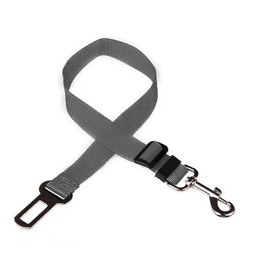 Gray dog leash with black clip on a white background