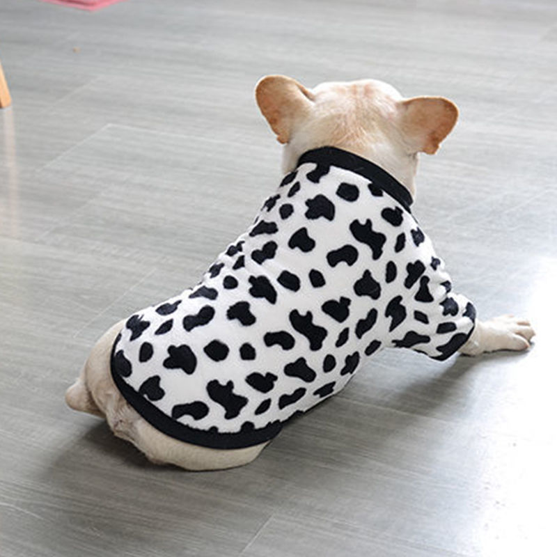 Dog wearing a black and white patterned sweater on a gray floor.