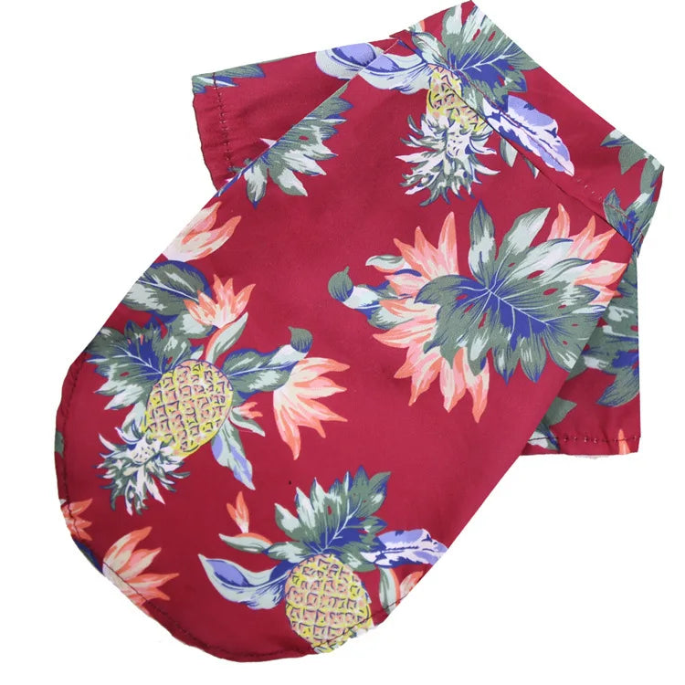 Red shorts with pineapple and floral pattern on a white background
