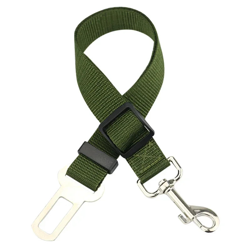 Green dog seat belt with clip on a white background