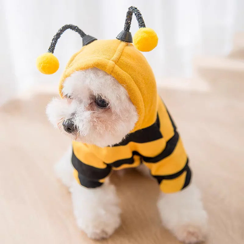 Small dog wearing a yellow and black bee costume on a light background