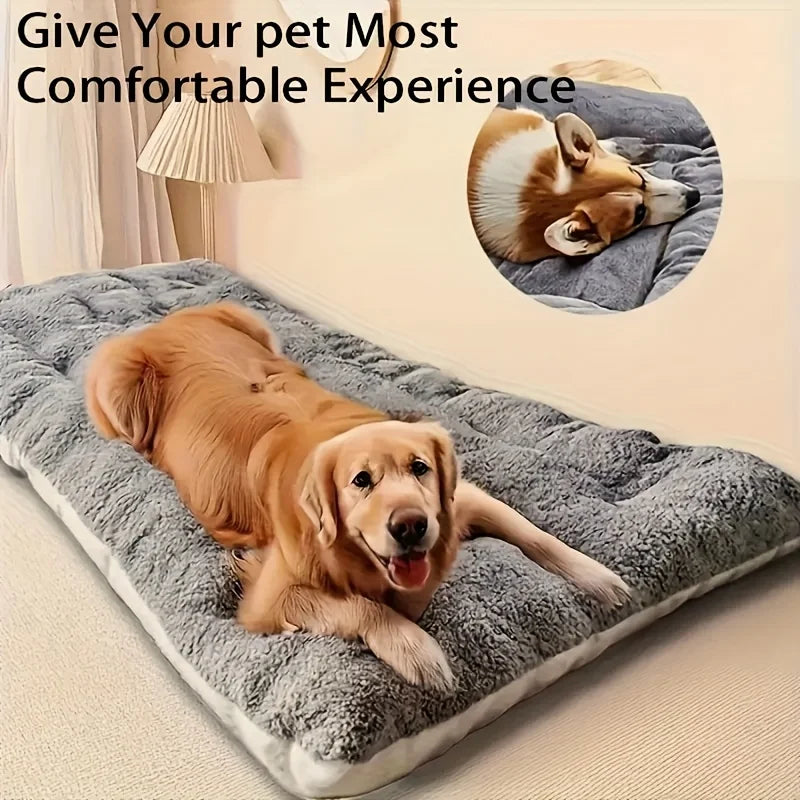 Dog lying on a gray pet bed with text 'Give Your Pet Most Comfortable Experience' and inset showing a close-up of the dog.