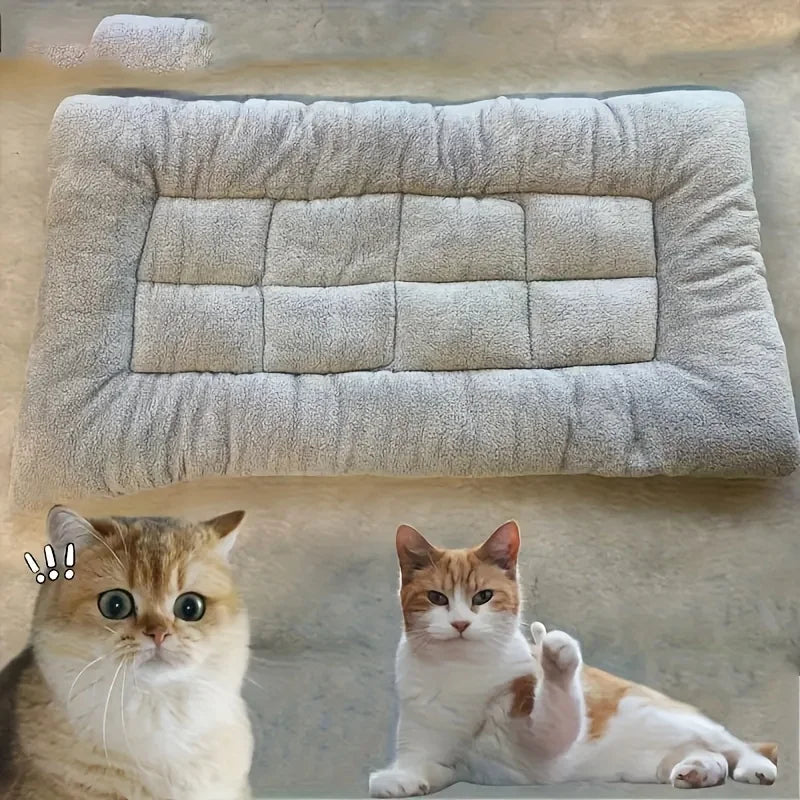 Two cats sitting on a textured surface with a cushion above them.