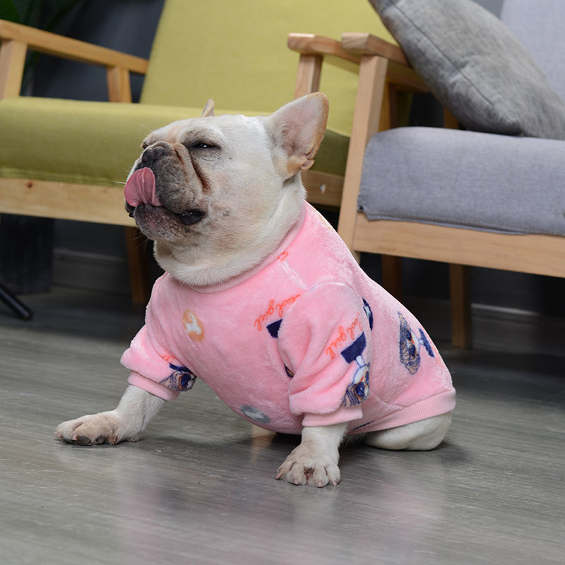 Dog wearing a pink pajama outfit on a wooden floor with furniture in the background