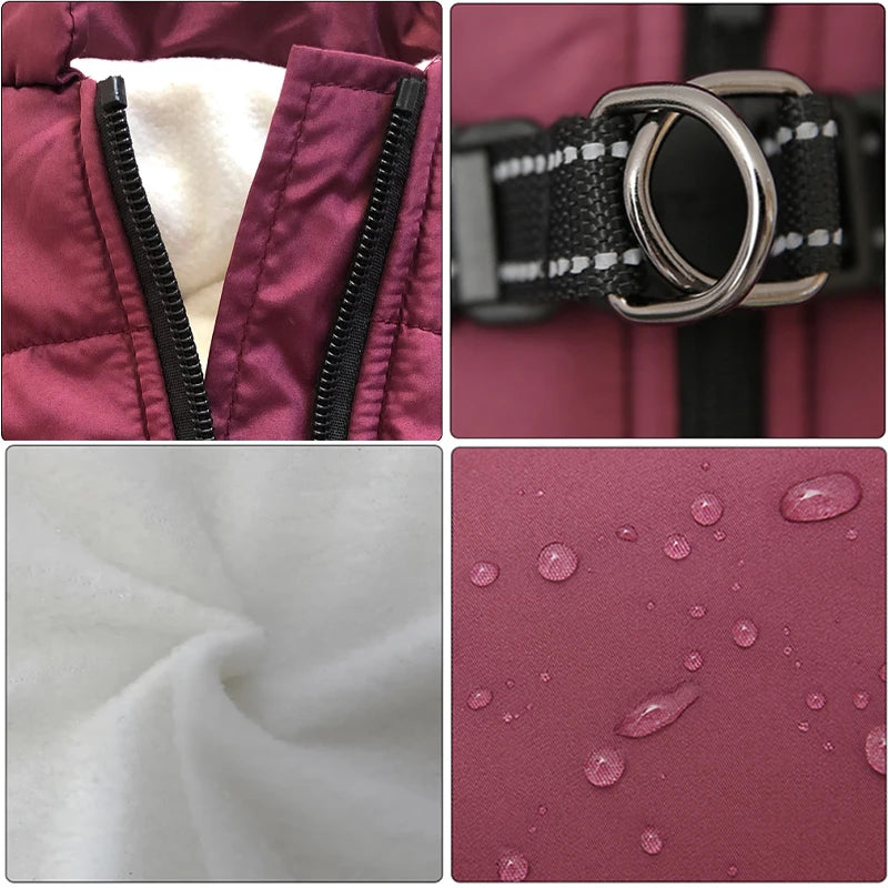 Collage of a purple jacket with zipper, collar detail, fabric texture, and water droplets.