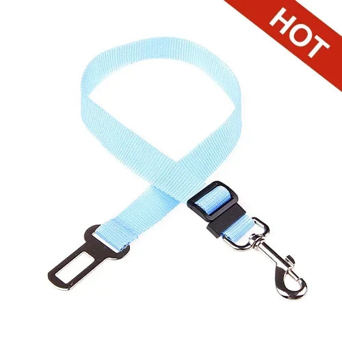 Light blue dog leash with black clip and car seat belt adapter on a white background