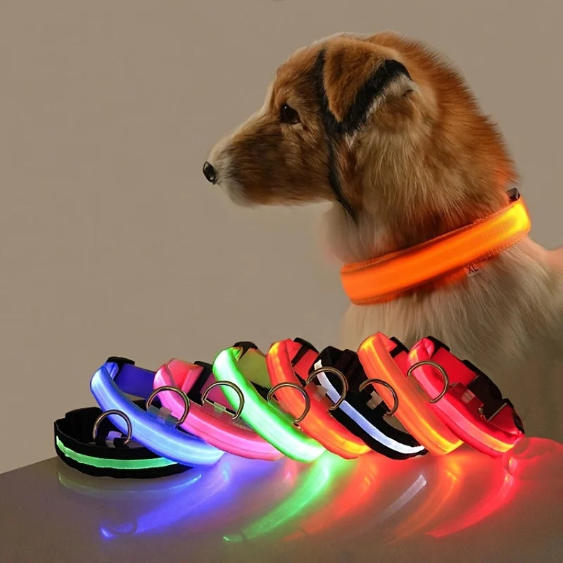 LED Safety Dog Leash & Collar | USB Rechargeable & Weatherproof