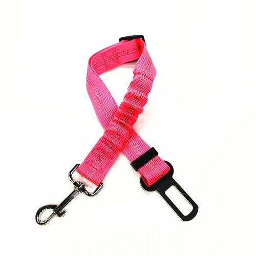 Pink dog leash with black clip and carabiner on a white background