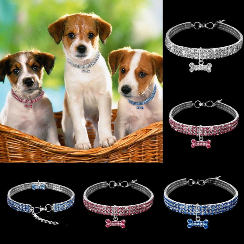 Cute puppies with pink/blue diamanté collar 