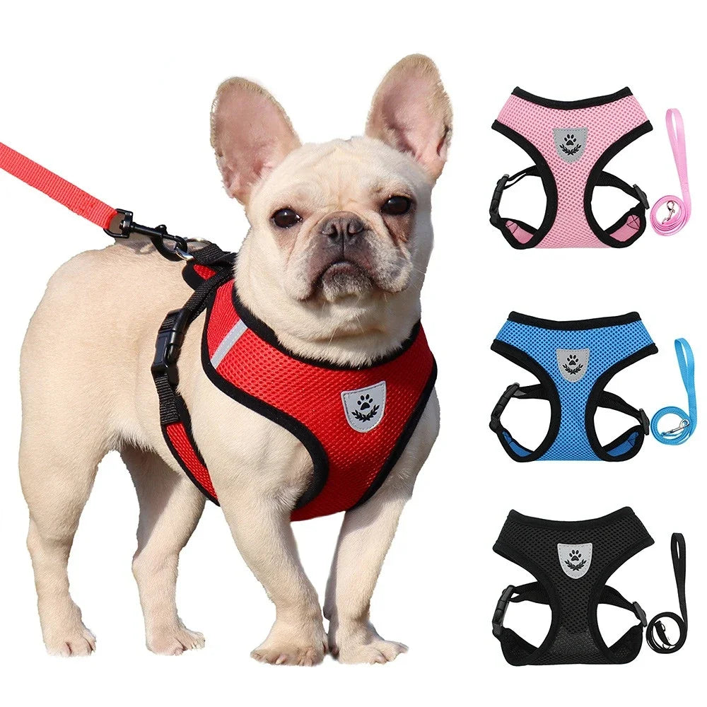 Dog wearing a red harness with additional harnesses in pink, blue, and black displayed on a white background.