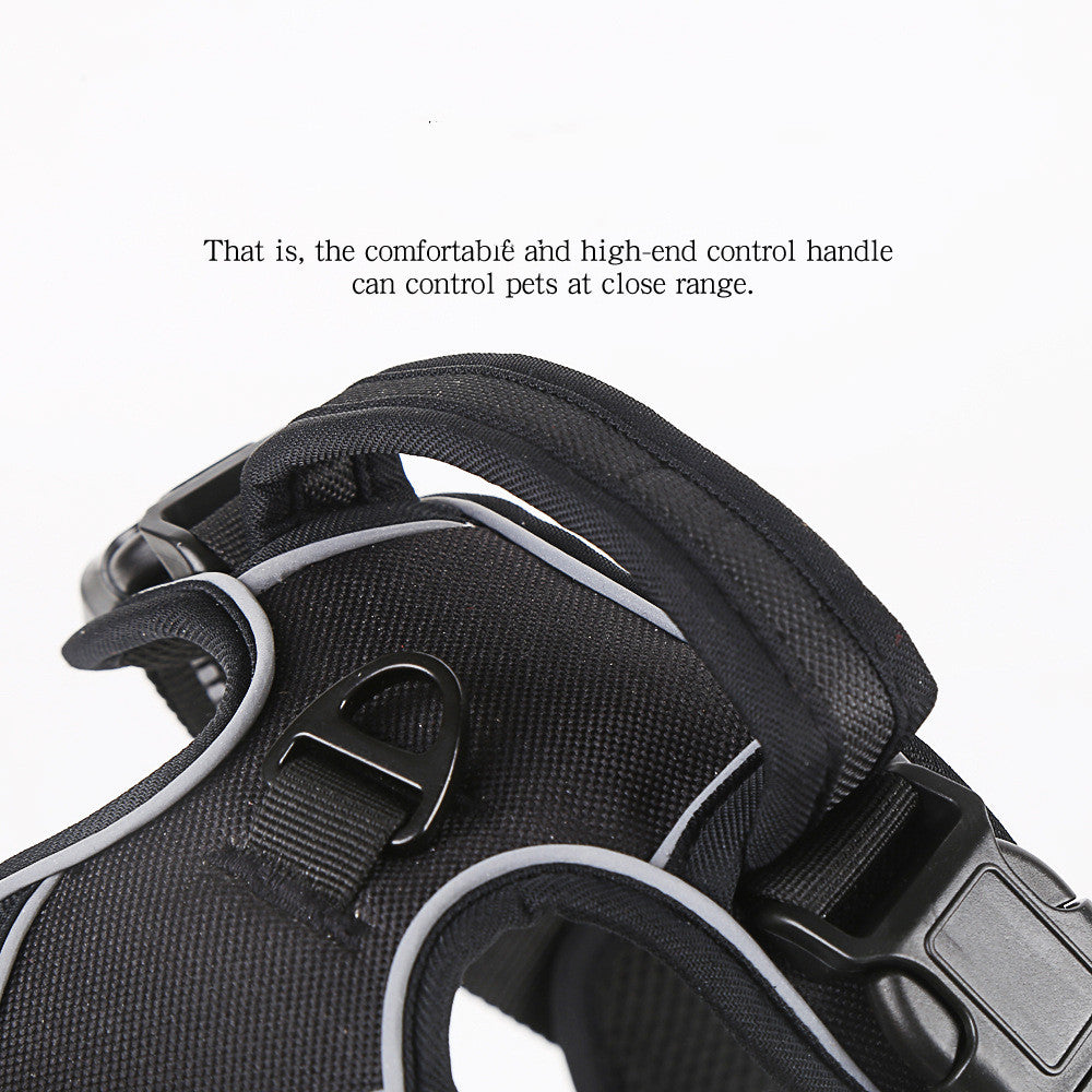 Close-up of a black pet harness with control handle on a white background