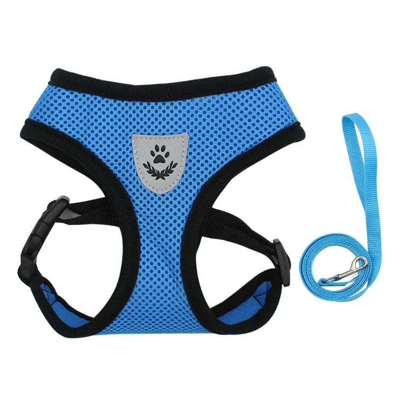Blue pet harness and leash set on a white background