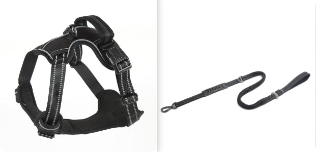 Black dog harness and leash on a white background