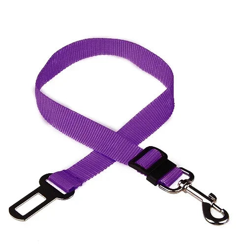 Purple dog seat belt with clip on a white background