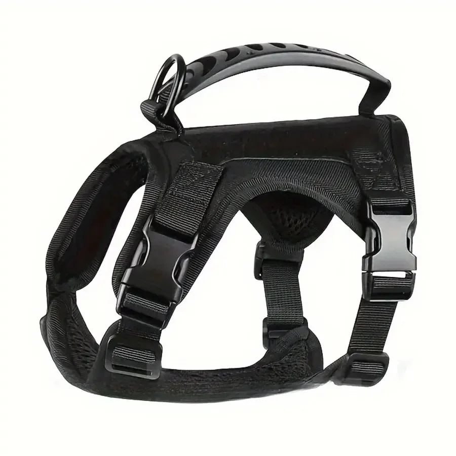 Black dog harness on a white background