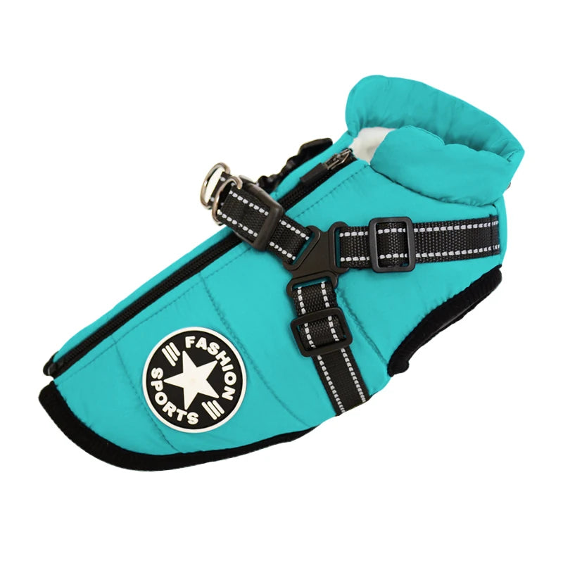 Turquoise dog harness with reflective straps on a white background