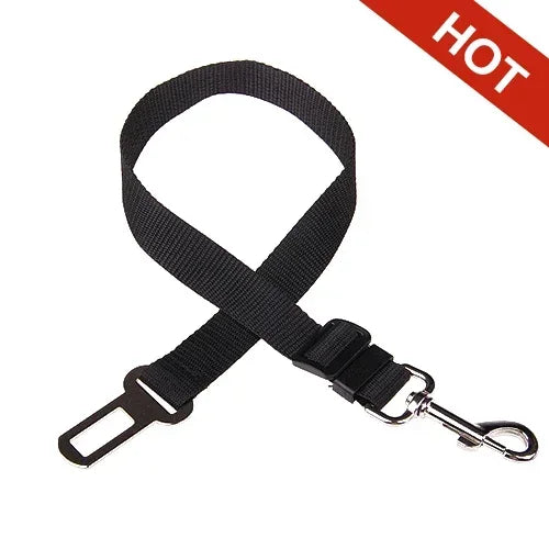 Black dog leash with metal clip on a white background