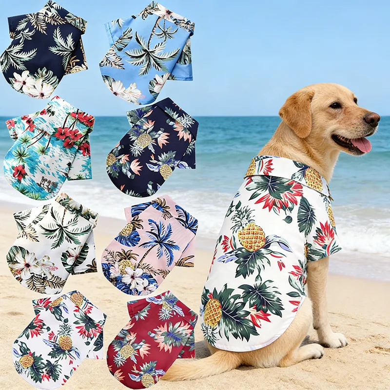 Dog wearing a tropical shirt with beach scene in the background