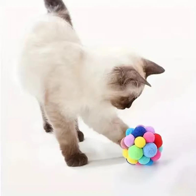 Cat playing with a colorful ball toy on a white background