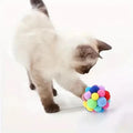 Cat playing with a colorful ball toy on a white background