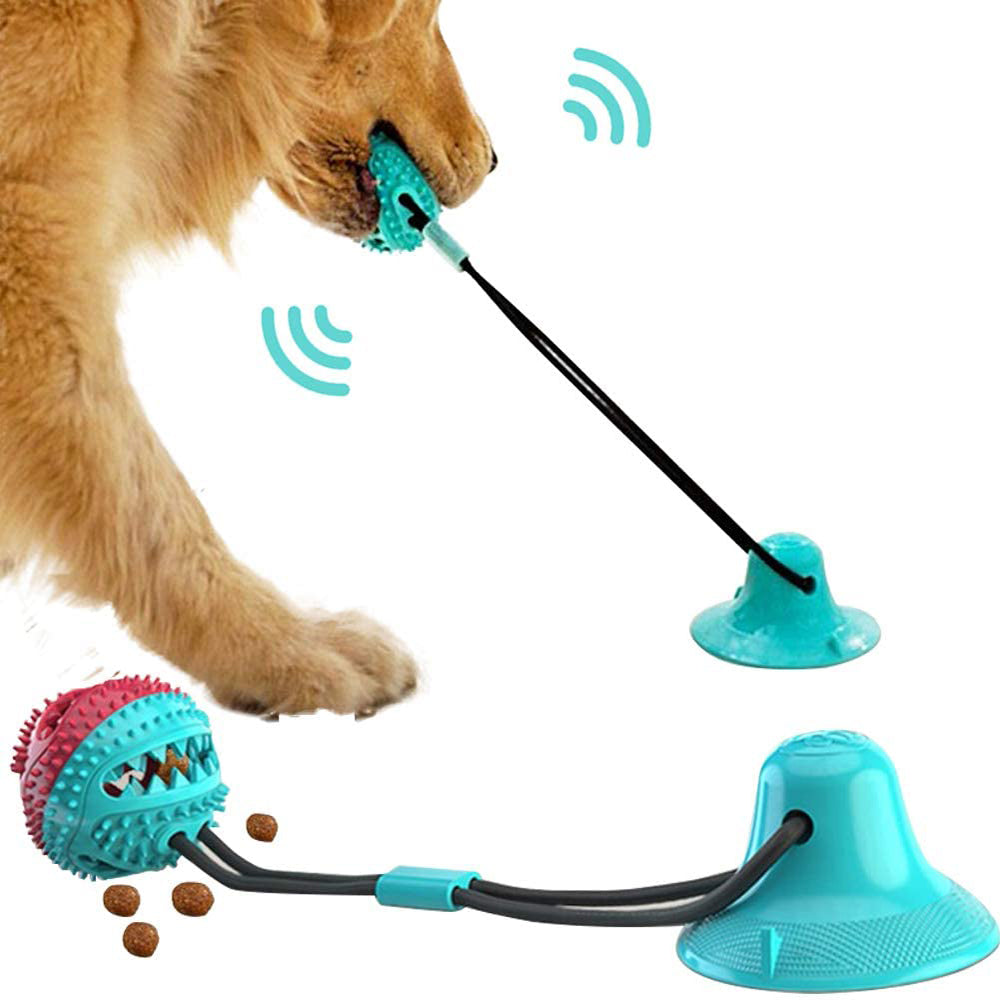 Dog playing with a blue toy attached to a stick with suction cups on a white background