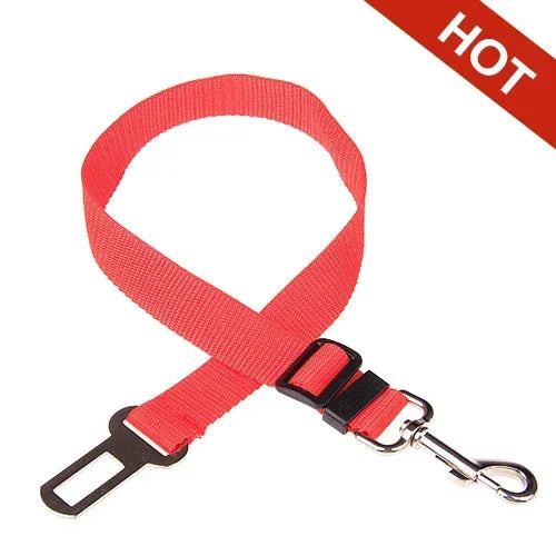 Red dog leash with black clip and silver carabiner on a white background