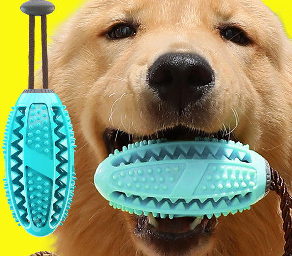 Dog holding a blue rubber toy with a yellow background