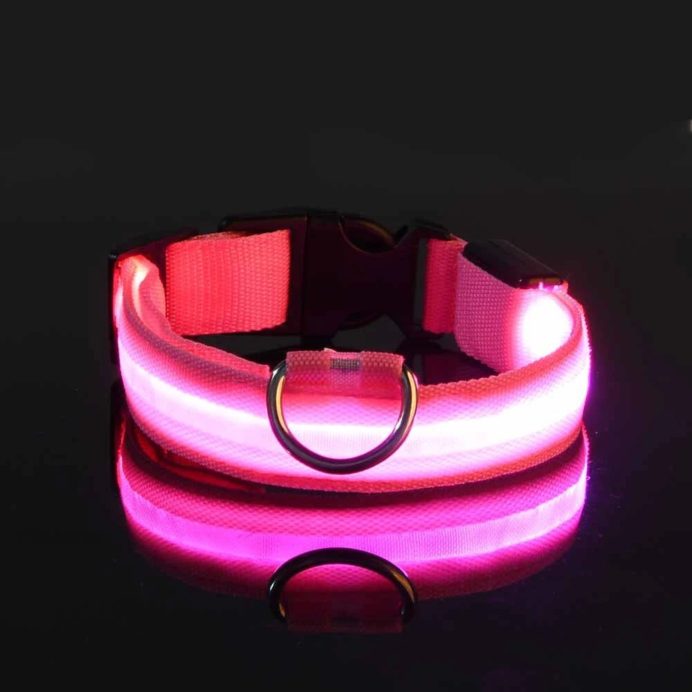 LED Safety Dog Leash & Collar | USB Rechargeable & Weatherproof