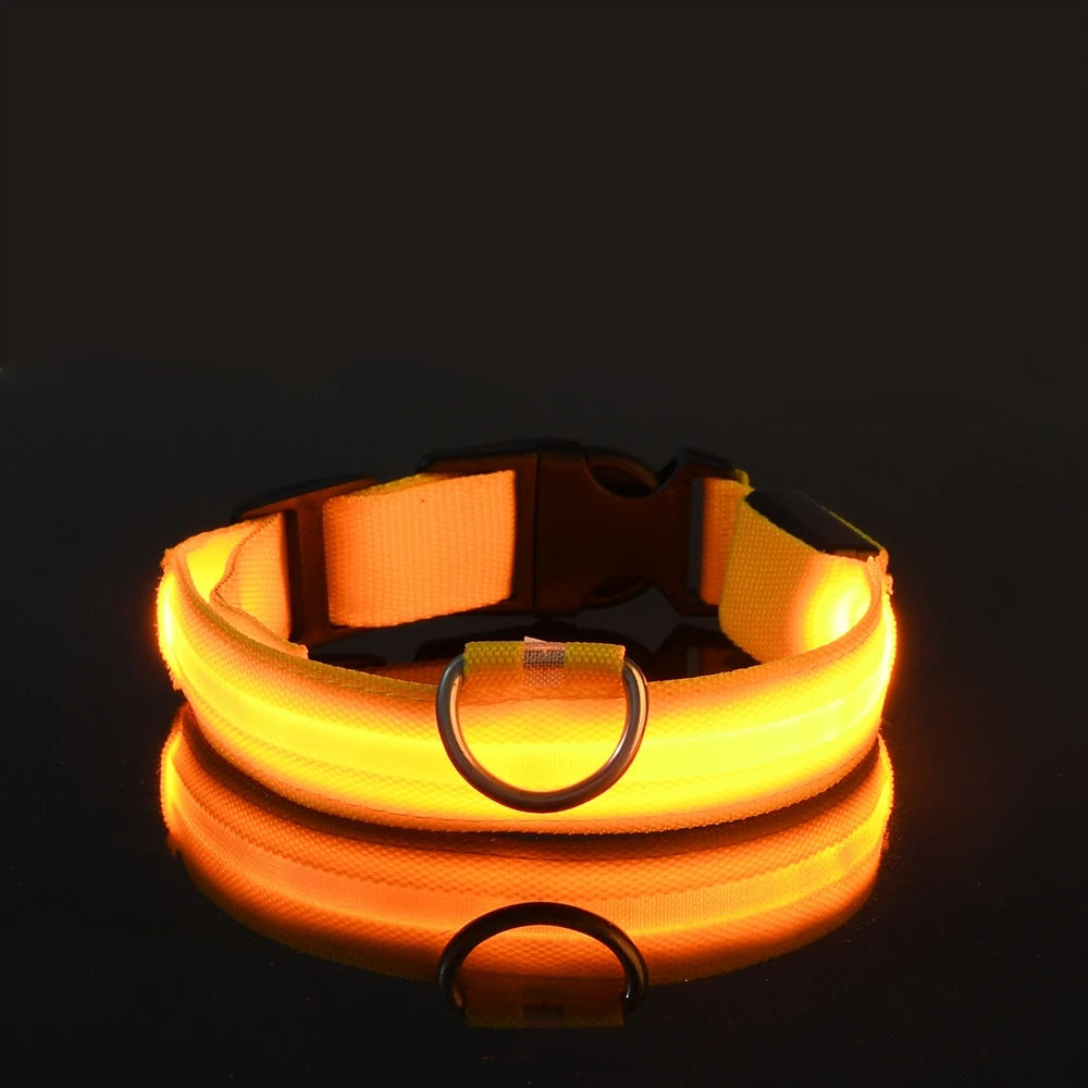 LED Safety Dog Leash & Collar | USB Rechargeable & Weatherproof