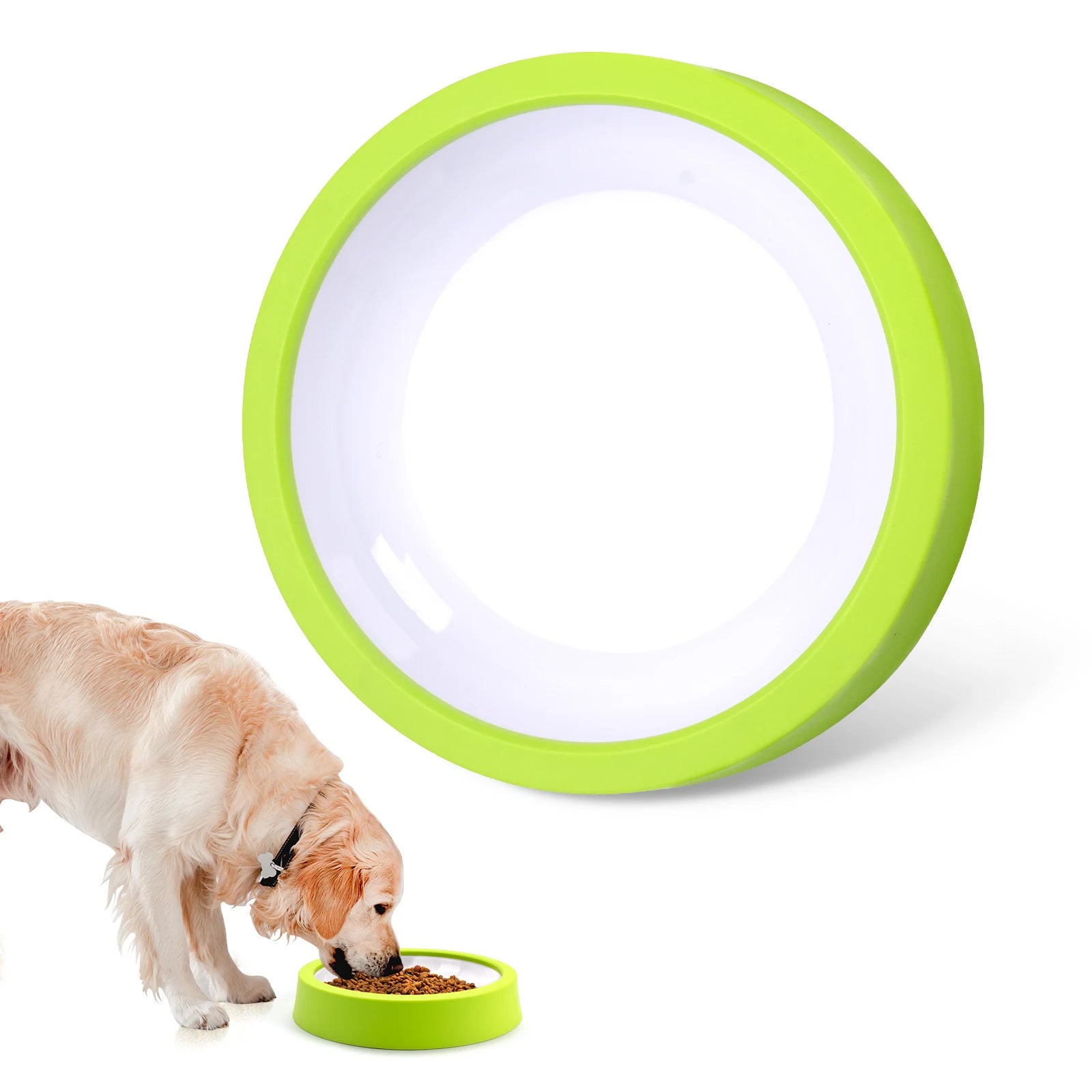 Dog eating from a green round dog bowl on a white background