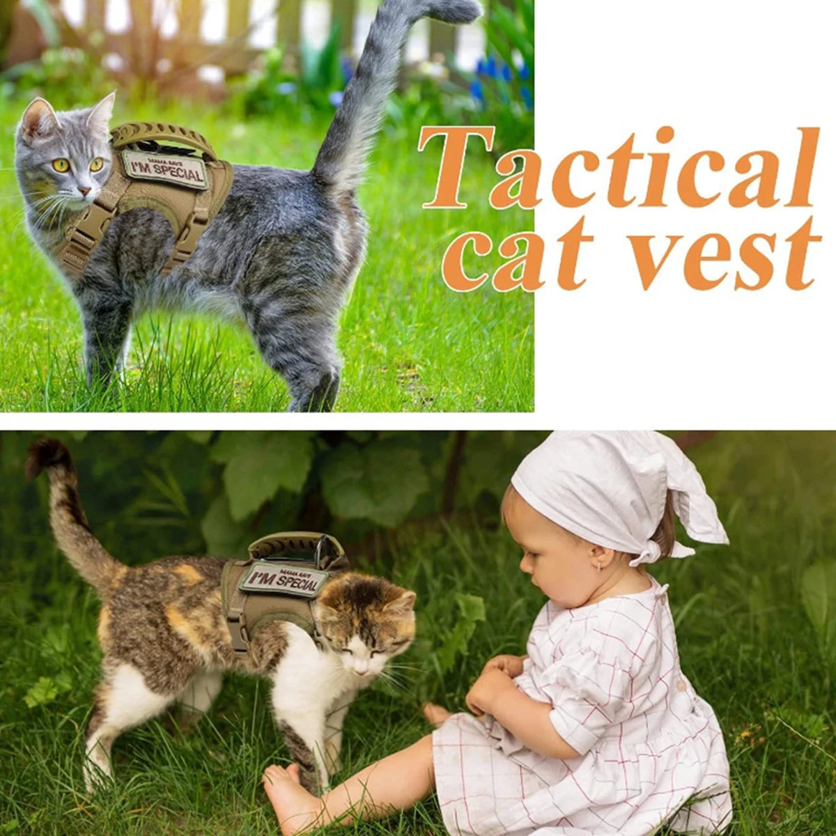 Cat wearing a tactical vest with text 'I'm special' in a grassy outdoor setting, next to a child sitting on the grass.