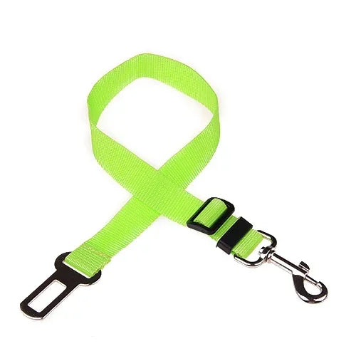 Fluorescent green dog leash with metal clip on a white background