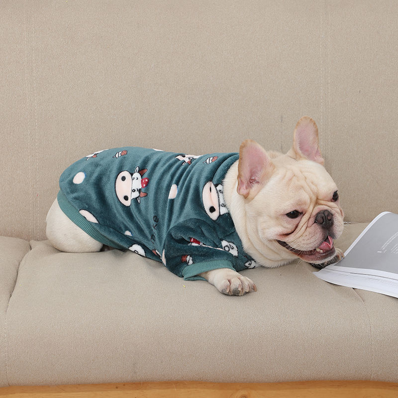 Dog wearing a teal sweater with cartoon designs, lying on a couch and reading a book.